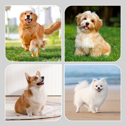 🐾 ‌Nepremokavé čižmy pre psov, mäkké a pohodlné, odolné voči nečistotám a škvrnám